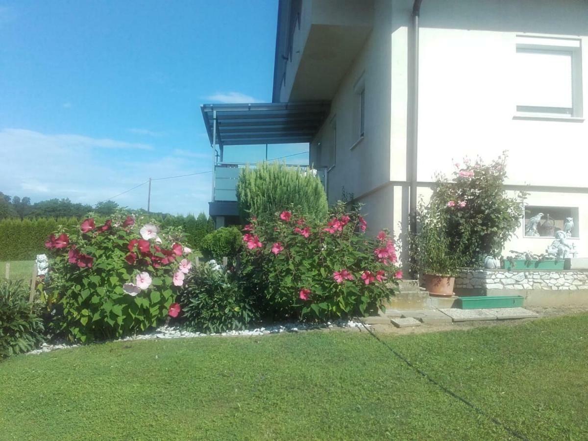 Dahoam By Fam. Franz Apartment Gamlitz Exterior photo